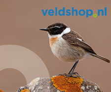 Veldshop 2